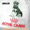 ROYAL CANIN 皇家 18安帆布 環保購物袋 手提袋 袋身100%棉：圖片 4